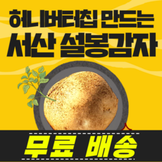 포근포근 분이 나는 설봉감자 허니버터칩만드는 감자, 설봉감자 [중/조림용] 5Kg