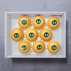 과일선물세트 명품 나주배 5kg(8-10과) 설날 설 추석 명절, 1세트