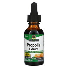 네이쳐스앤서 프로폴리스 추출물 2000mg 30ml, 1개