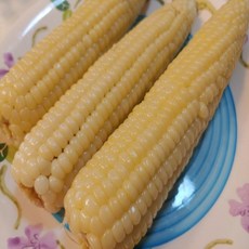 토종옥수수