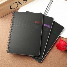 OJE247973 라임마트 컬러포인트 스프링노트(15x21cm) KH201, 단일옵션