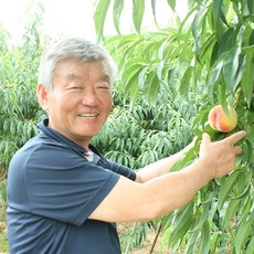 유월의복숭아