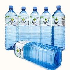 산지직송 청정 죽장고로쇠 1.5리터 6병, 1.5L