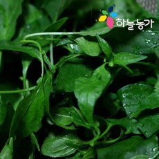 하늘농가 [하늘농가]순수국산 고추잎 70gX1팩, 1