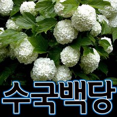 5d56ba70d82d19d1c6b30acb524e7060add16deb1a6871deaa6cf6e26bb5.jpg