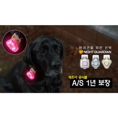 나이트가디언P 세모 반려견 야간 산책 LED 목걸이 USB 펜던트 방수 후레쉬 강아지 멍멍이 대형견, 화이트, 1개