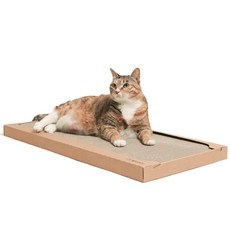 뽀시래기 국산 박박 무접착 특대형 평판 스크래쳐, 1개