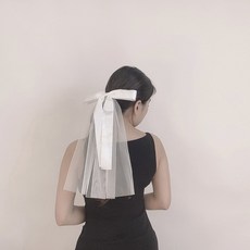 웨딩촬영베일