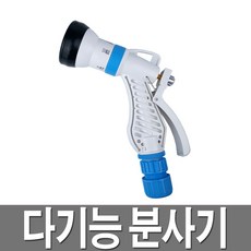 한일라임대자리