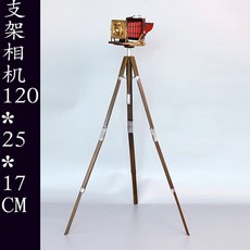 골동품카메라