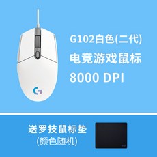 g304정품