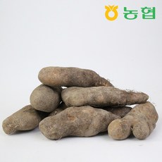 경주천마총도자기체험