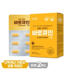아리바이오 인도산 강황 추출물 수용성 나노 커큐민 바로큐민 타정, 2개, 30정