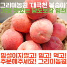 24년 가장맛있는 그리미농원 고당도 한국판 납작복숭아 대극천복숭아 대과