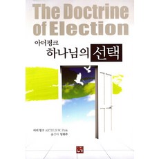 아더핑크