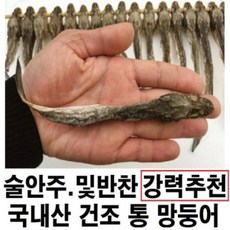 건조망둥어