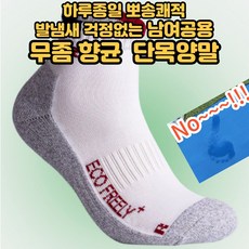 풋풋양말