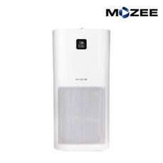 대형공기청정기