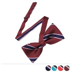 남자어린이보타이