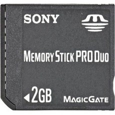 소니 2GB 메모리스틱 PRO 듀오 메모리카드 MSX M2GS, 1개