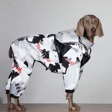 강아지우주선비옷