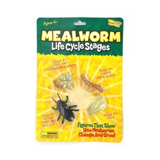 곤충성장피규어