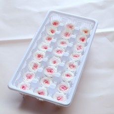 꽃화관클래스