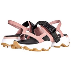 파라디소화이트