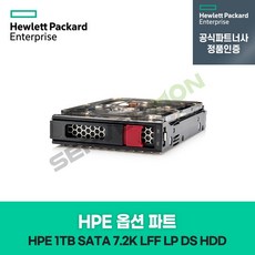HP 서버 옵션 디스크 1TB (SATA 7.2K LFF LP DS HDD) 1년 워런티 861686-B21 정품