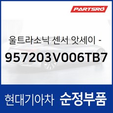 그랜저HG 후방 충돌 경고 시스템(BWS) 센서 앗세이 957203V006TB7 부품번호가 변경되어 (957203V006NN7)로 발송, 1개