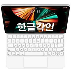 벨킨아이패드키보드