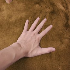 노블리사카페트소형