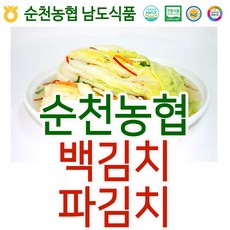 입점특가 순천농협 남도김치 백김치 5kg+파김치1kg, 단일상품