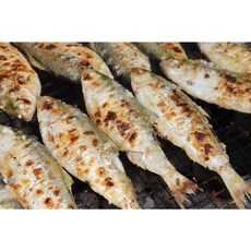 완도 자연산 구이용 전어 8마리 1팩 (500g), 1개
