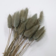 a6ea7d0a008d29e6984cdfea9c9d8439aa2a43d931c192b11d205bae40bb.jpg