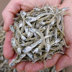 가락시장521 국산 햇 가이리멸치 1.5kg 상급 볶음용 (3~4cm) 저염 볶음멸치, 1개, 국내산 햇 가이리