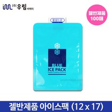 추천5 친환경아이스팩소형