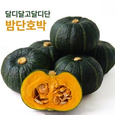 [산지직송] 특품 보우짱 미니 단호박 밤호박, 1박스, 2kg(특상)