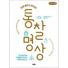 조셉 골드스타인의 통찰 명상 큰글씨책 : 삶의 불만족과 괴로움에서 벗어나 자유에 이르는 길, 마음친구