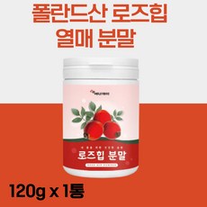 폴란드호박목걸이