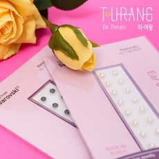 다이어트이혈침