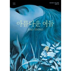 아름다운 어둠