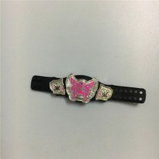 wwe챔피언벨트