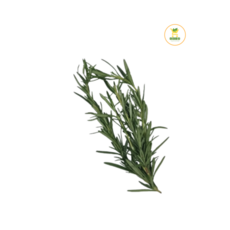 로즈마리 (10g), 1개