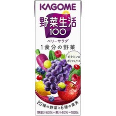 세트상품 2CS 야채생활 100 베리샐러드 200ml×24병×2박스, 48개, 200ml