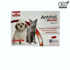 [국내정품]안티놀(Antinol® Rapid®) 30캡슐 동물병원[매장], 1개 - 안티놀래피드