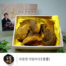 류충현약용버섯 상황버섯 목질진흙 약용버섯 균사체 nk 면역 베타글루칸 무농약 친환경인증, 1개, 300g