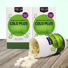 오라맥스플러스