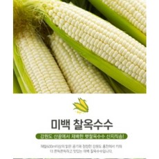 강원도홍천옥수수