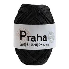 프라하라피아실